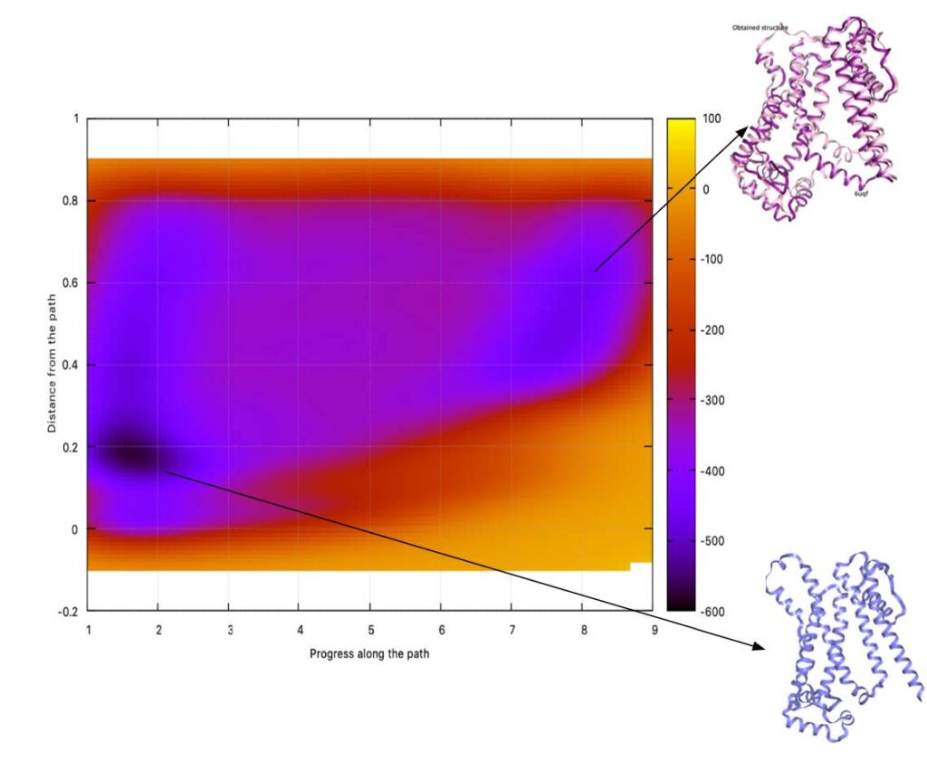 Exploring the free energy landscape of the HCN channels voltage sensing