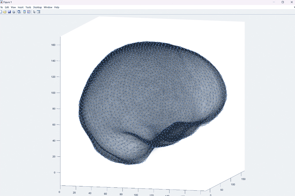 Human Brain illustration