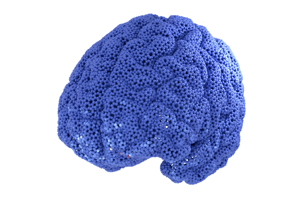 Human Brain illustration